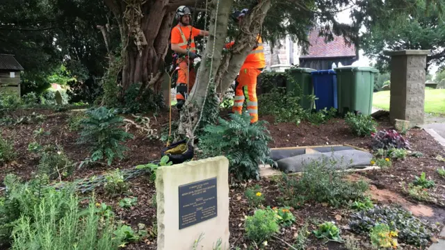 Repairs to the garden