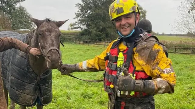 The horse after being rescued