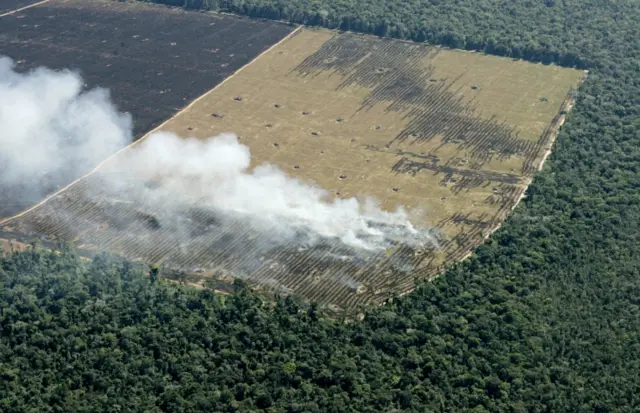 A bare patch of smoking land surrounded by trees, pictured from above