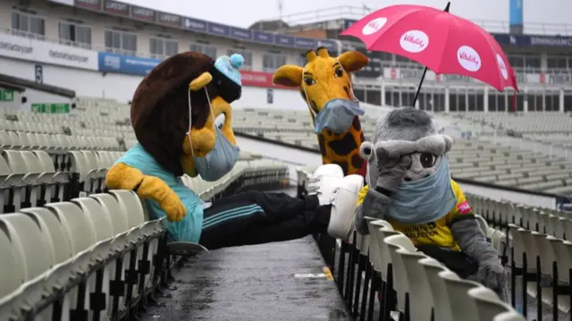 Mascots watch on at rainy Edgbaston