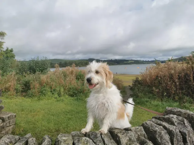 Carsington Water