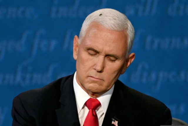 A fly took residence on Mike Pence's head for a full two minutes during the debate, attracting a lot of attention online