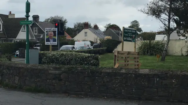 Election signs next to a road