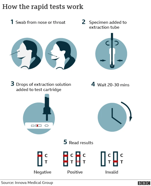 Graphic showing how rapid tests work