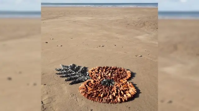 Poppies sculpture on Combesgate Beach, Woolacombe