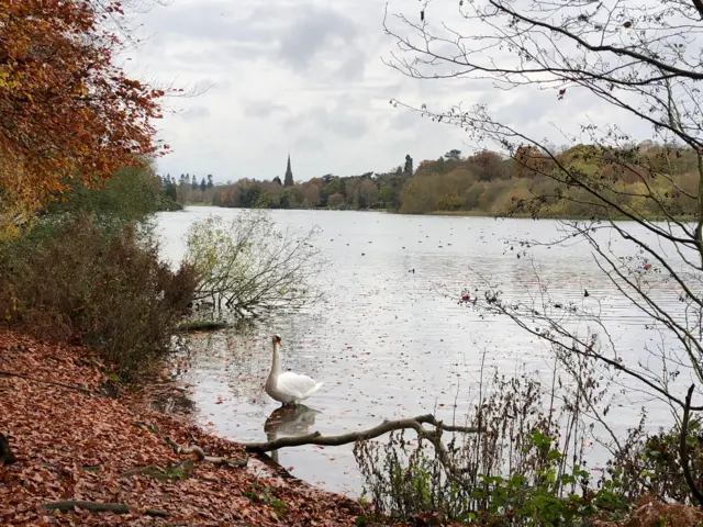 River in Carburton