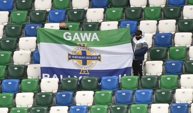 Northern Ireland fans in Windsor Park