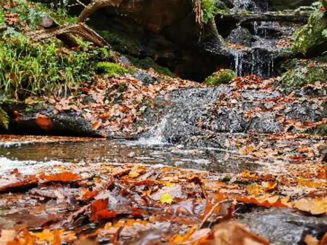 Coalbrookdale