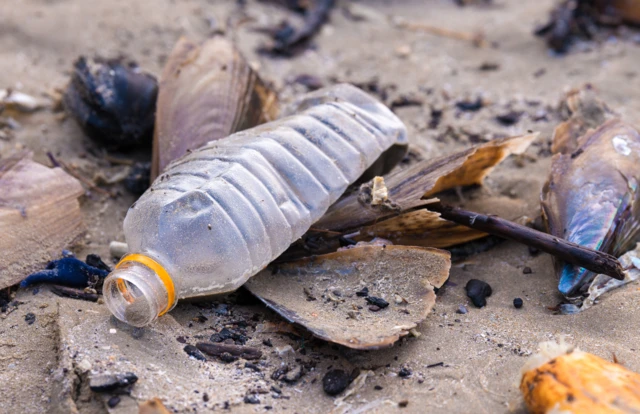 Plastic bottle on beach