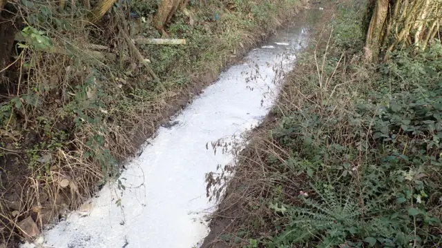 The waste in the stream