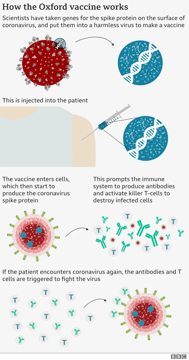 Oxford vaccine