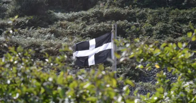 Cornwall flag