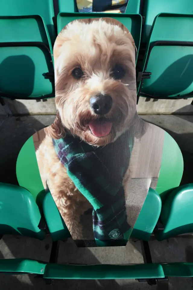 A cardboard cut-out of a dog at Easter Road