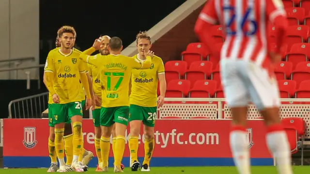 Norwich celebrate goal