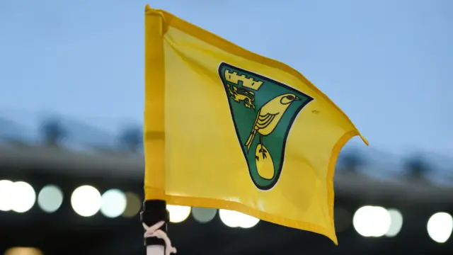 Norwich flag