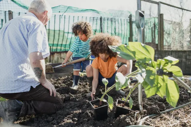 growing plants