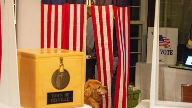 A dog in the ballot room in Dixville Notch