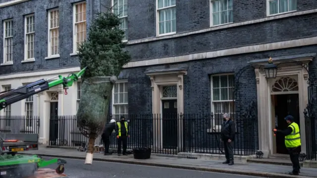 The tree being craned into position