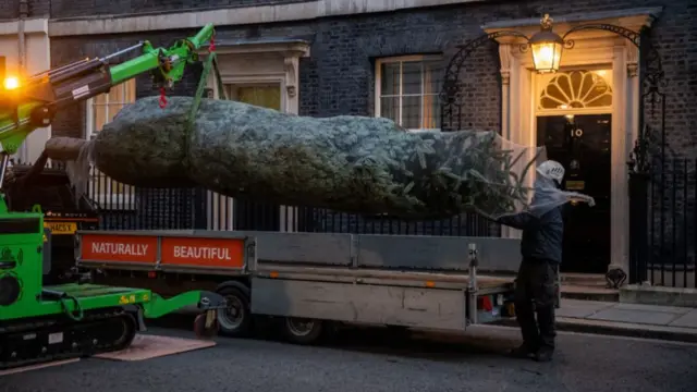 The tree being delivered