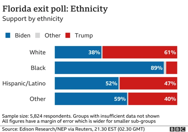 A graphic indicating the ethnicity of voters in Florida