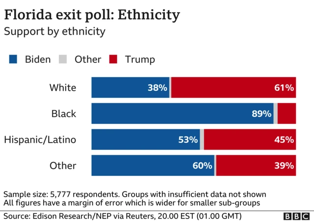 Ethnicity poll