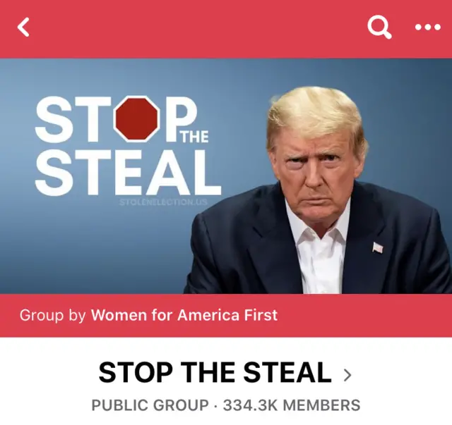 stop the steal group