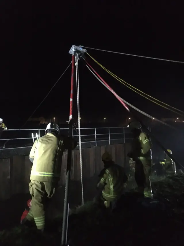 Horse being rescued