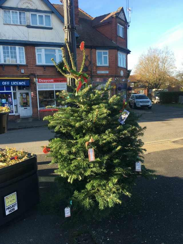 Draycott's memory tree