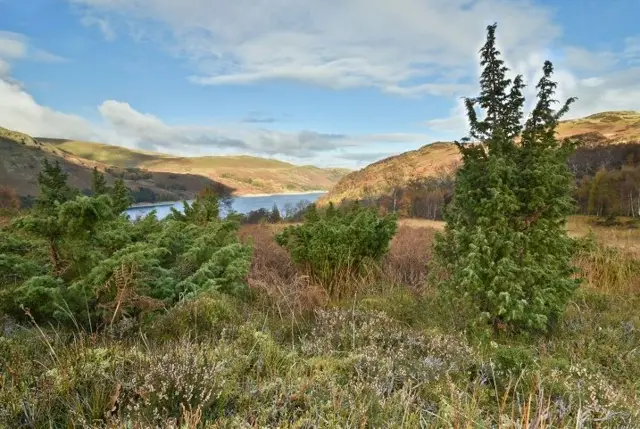 RSPB Haweswater