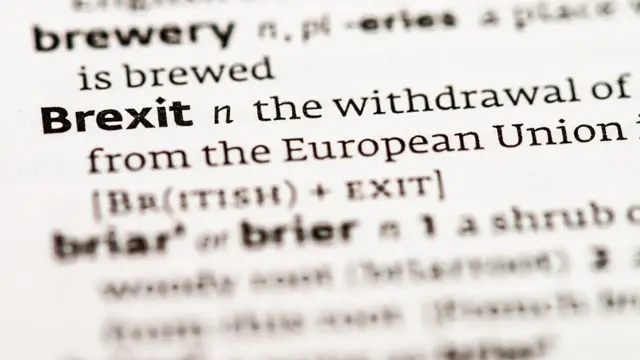 Brexit in the dictionary