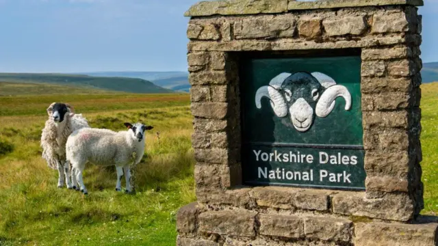 Yorkshire Dales National Park sign and sheep