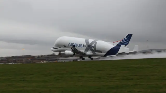 Airbus Beluga XL