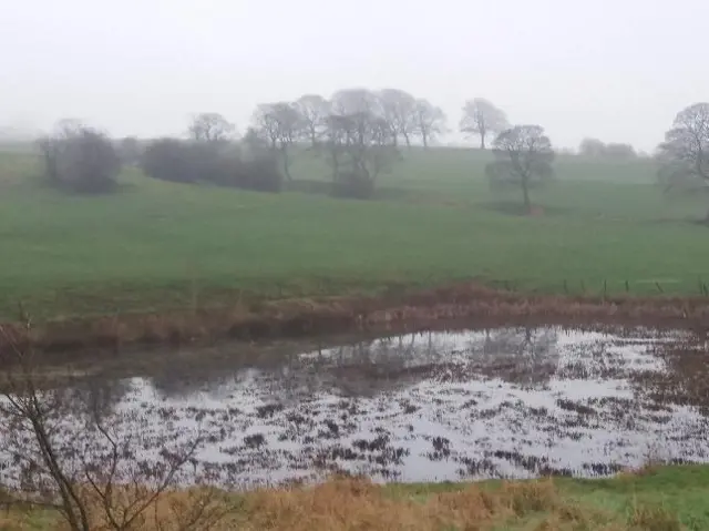 A wet field in Kidsgrove