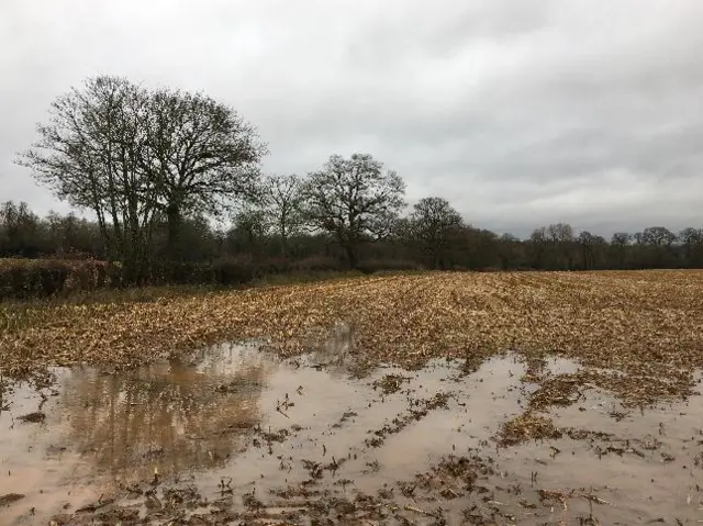 A muddy puddle in Leek Wooton