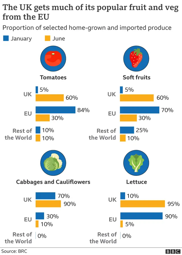 Fruit and veg graphic