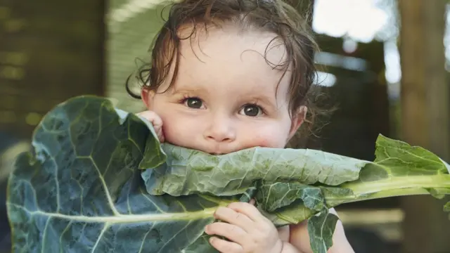 Child eating a cabbage leaf