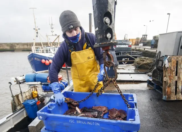 A catch is unloaded at the fishing port at Bridlington Harbour in Yorkshire, England