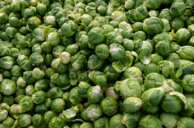 Brussels sprouts