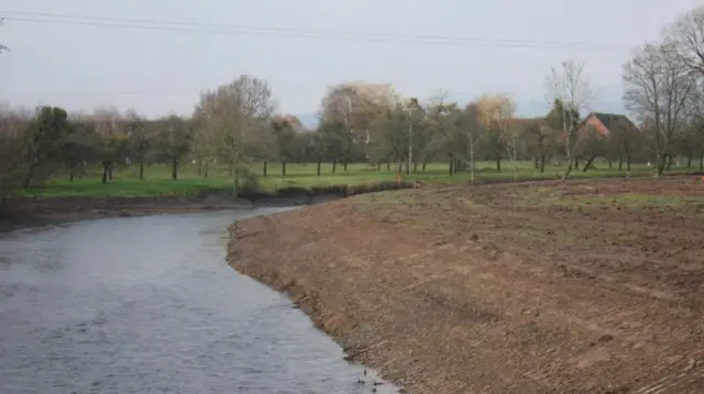 Banks cleared of plants