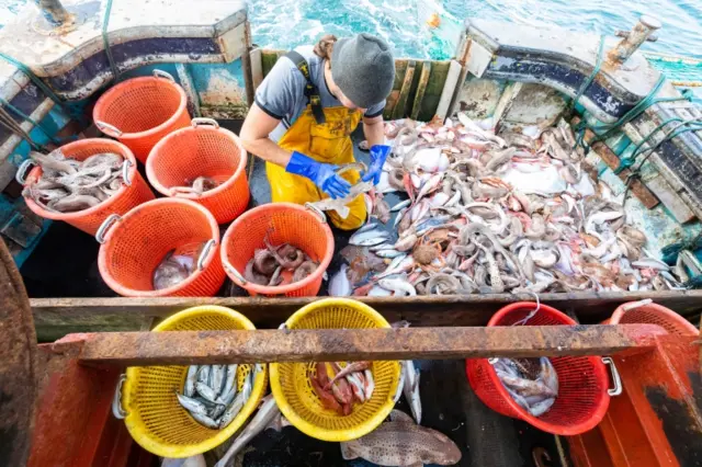 Fisherman with his catch