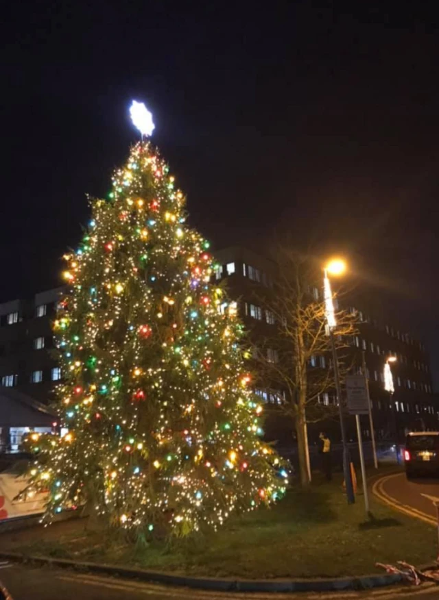 Queen's Medical Centre Christmas tree