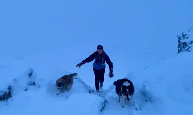 Hester Cox with Teasel and Harry