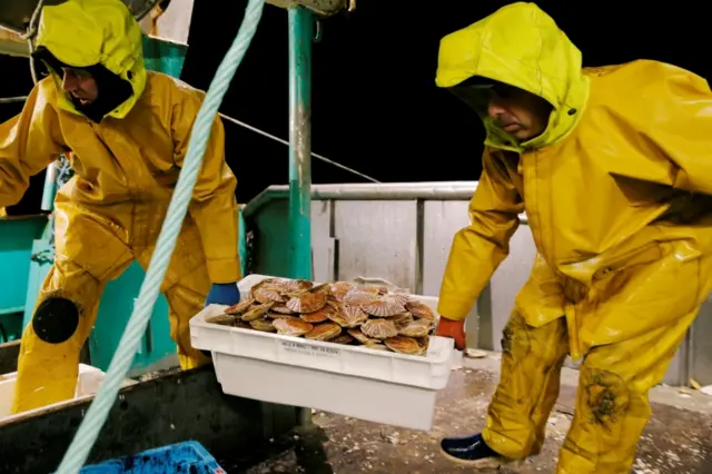 Fishermen carry boxes of scallops on the deck of Thierisa trawler during the start of the scallop fishing season in France, off Port-En-Bessin, France