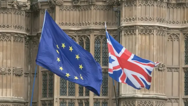 UK and EU flags outside Parliament