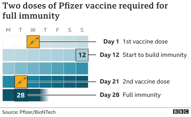 Calendar showing when vaccines are given and when immunity begins to develop