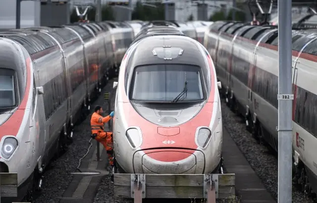 A member of staff enters a train at a depot in Geneva (file photo)