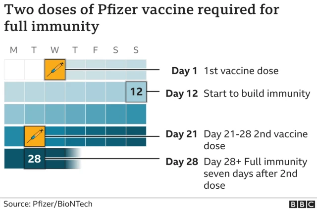 Graphic showing how two doses of the Pfizer vaccine are needed for immunity