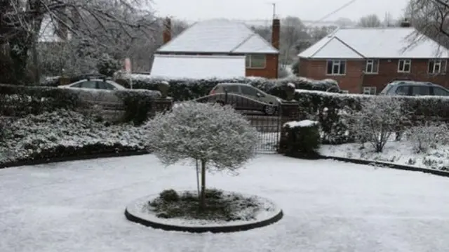 Snow covered garden