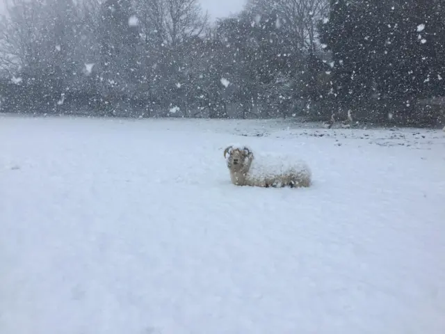 Snow in Hollinsclough on the Staffordshire/Derbyshire border