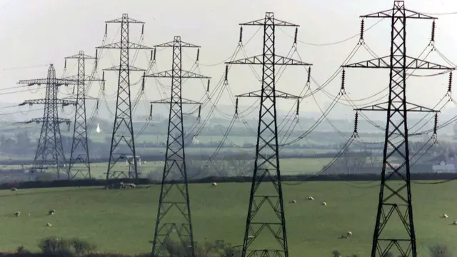 Pylons in a field